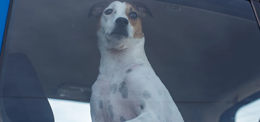 Car Lockout Solutions in Union City, California